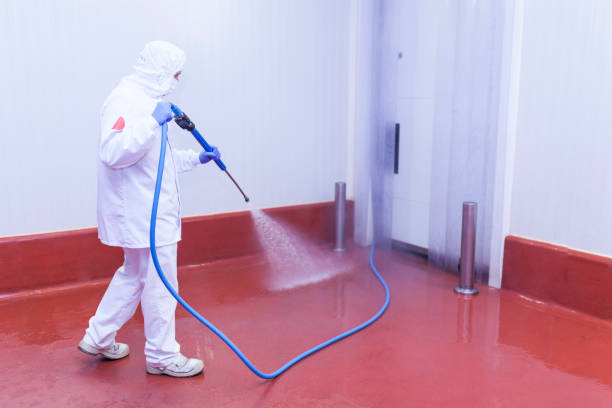 Best Winterizing Services  in Altoona, PA